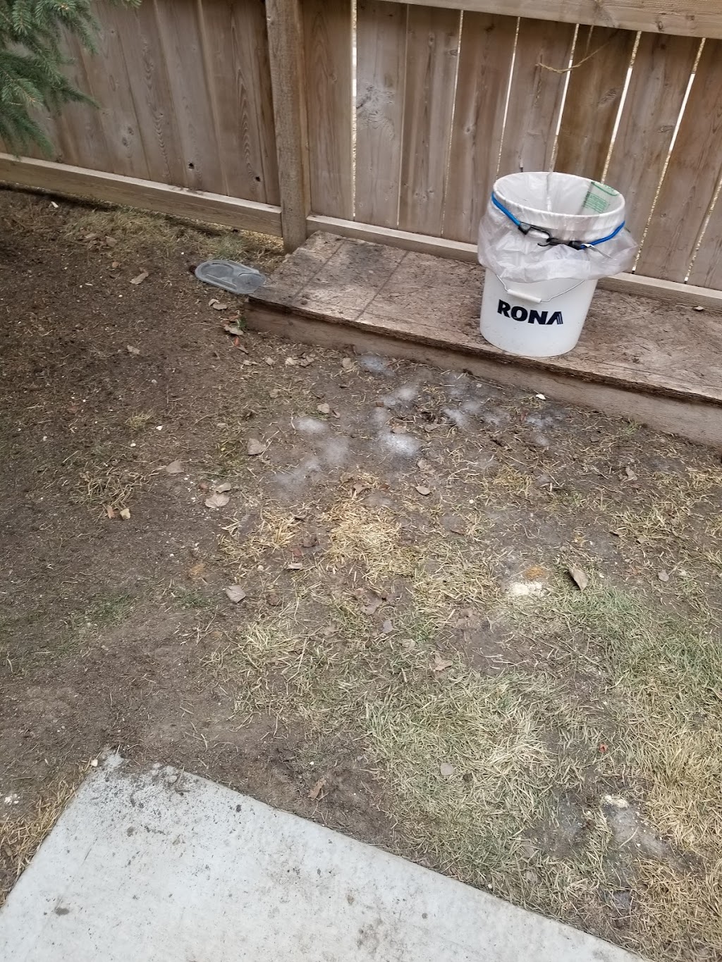Scrappy doo doggie poo removal | 2320 Baywater Cres, Airdrie, AB T4B 0T4, Canada | Phone: (403) 478-9333