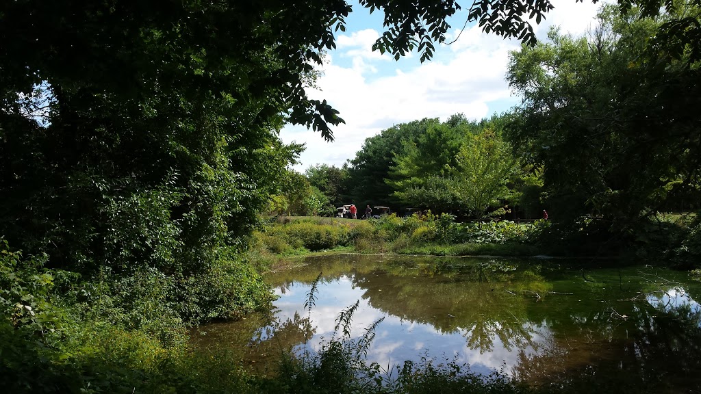 Springview Farm Golf Course | 657 Culver Rd, Waterford, ON N0E 1Y0, Canada | Phone: (519) 443-0589
