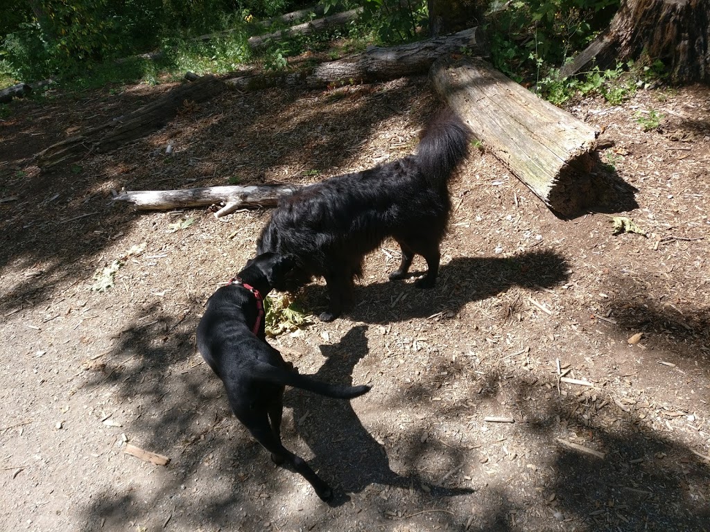 Shaughnessy Park Dog Off-leash Area | Shaughnessy St, Port Coquitlam, BC V3B 4L6, Canada | Phone: (604) 927-5496