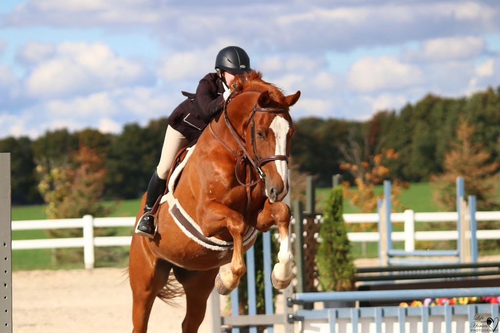 Foxwood Farm Equestrian Centre | 2042 Line 13, Gilford, ON L0L 1R0, Canada | Phone: (905) 775-0155