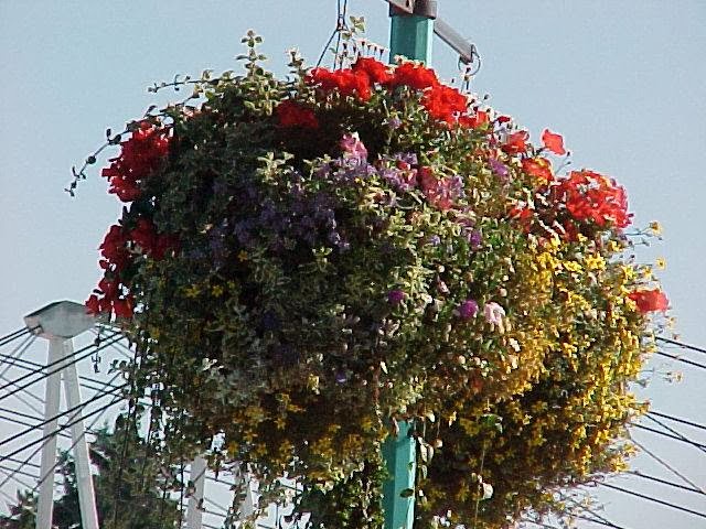 Strain Landscapes Ltd. | 5701 Hammond Bay Rd, Nanaimo, BC V9T 5N2, Canada | Phone: (250) 729-1061