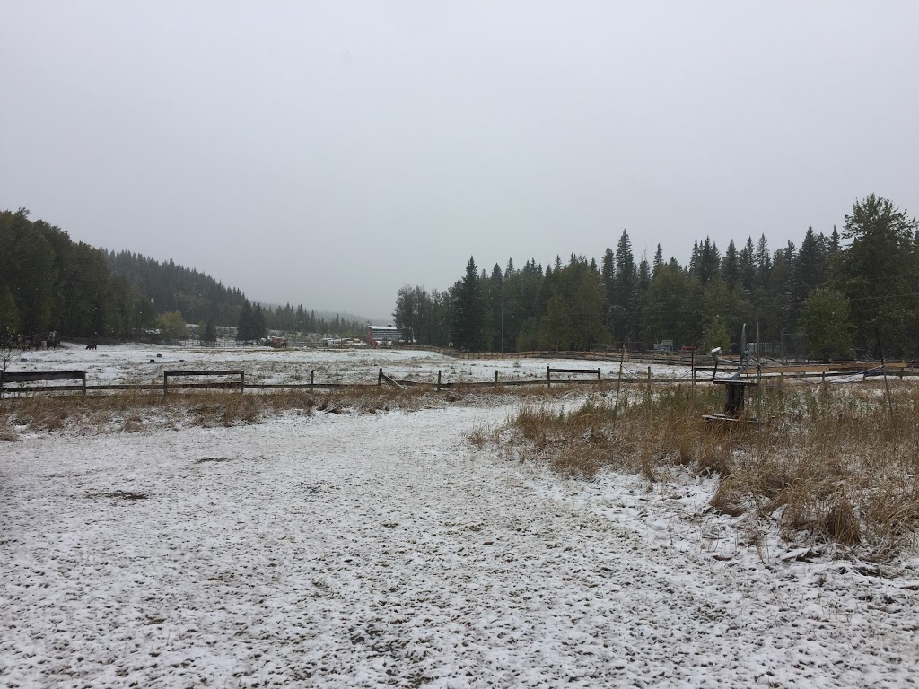 Anderson Valley Ranch | Mountain View County, AB T0M 2E1, Canada | Phone: (403) 637-3737