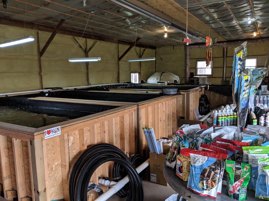 We’re So Koi | 12365 Ridge Line, Ridgetown, ON N0P 2C0, Canada | Phone: (519) 401-8191