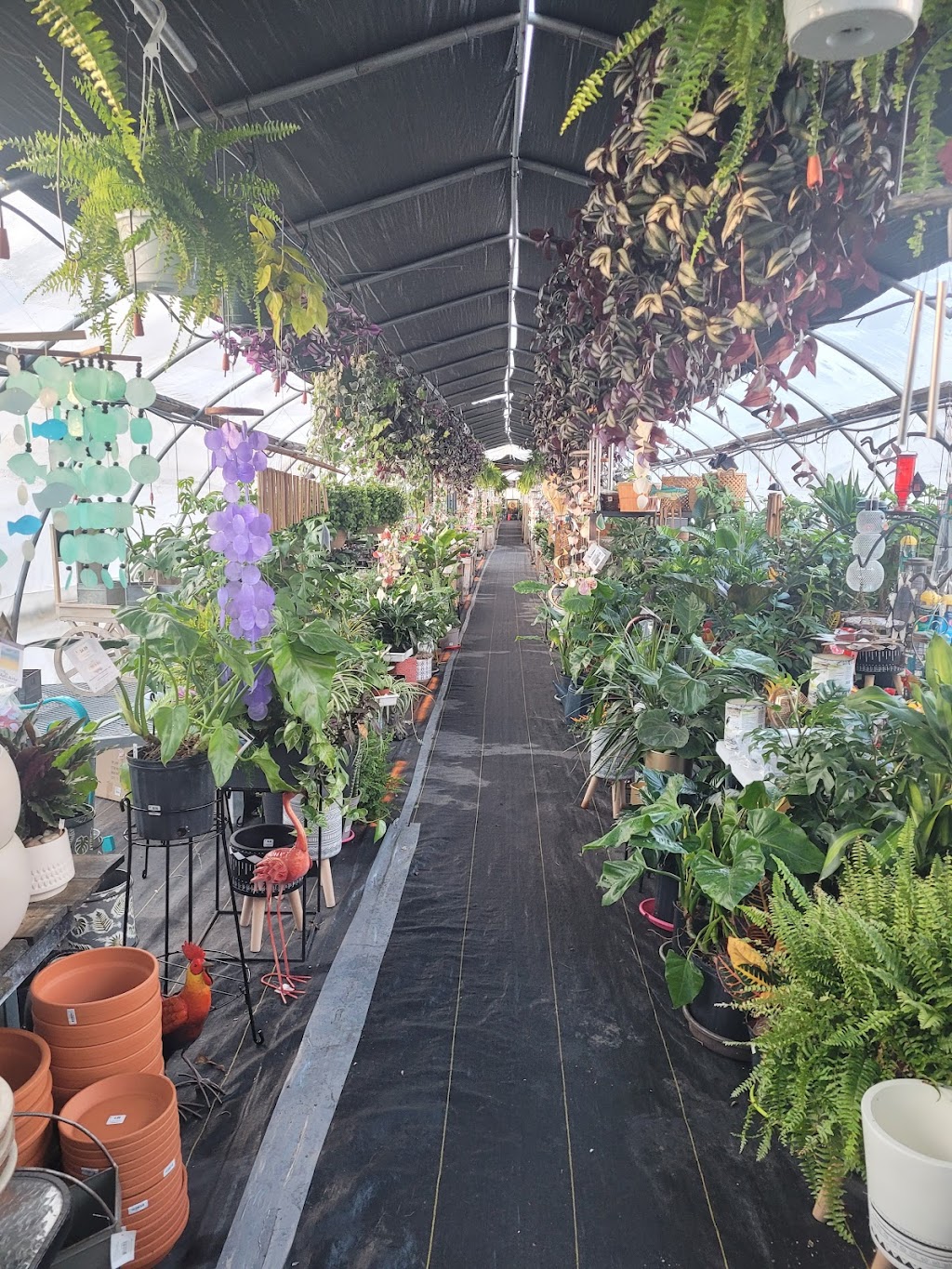 Country Home Gardens | 200 Forest Lea Rd, Pembroke, ON K8A 6W6, Canada | Phone: (613) 732-1139