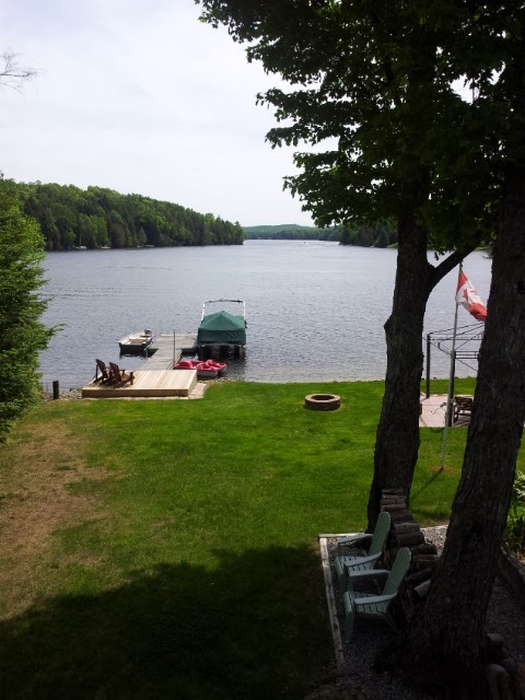 REVA Realty Inc. | 8 Flint Ave, Bancroft, ON K0L 1C0, Canada | Phone: (613) 332-1338