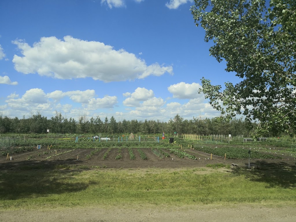 Leduc Community Garden Plots | 48 Ave, Leduc, AB T9E 3C3, Canada | Phone: (780) 980-7133