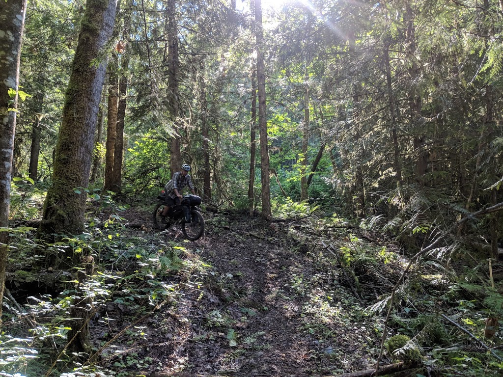 Allison Pool Campground | Chilliwack Lake Rd, Rosedale, BC V0X 1X0, Canada | Phone: (604) 824-0576