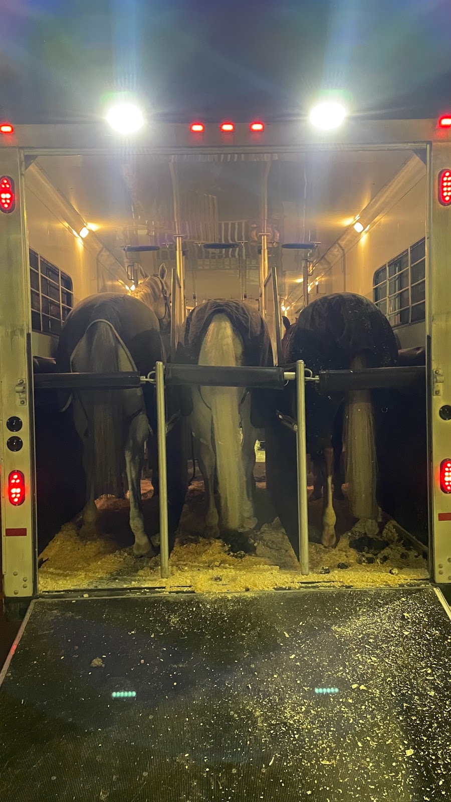 Ridgeview stables and Hauling | 11860 Ladner Trunk Rd, Delta, BC V4E 1A6, Canada | Phone: (778) 837-3038