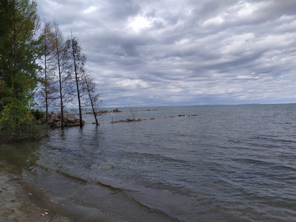 Council Beach | 105 Lakewood Dr, Clarksburg, ON N0H 1J0, Canada | Phone: (519) 599-3131 ext. 353