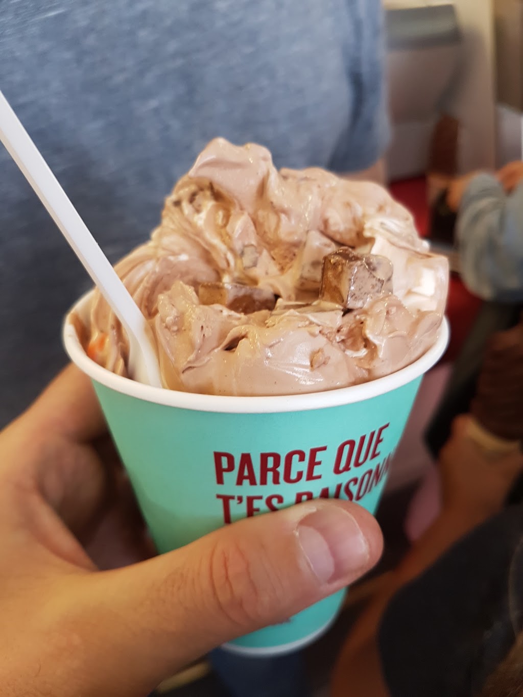 La Cremière Au Parc Lagny | 10 rue Pricipale ouest, Sainte-Agathe-des-Monts, QC J8C 1A3, Canada | Phone: (819) 324-2075