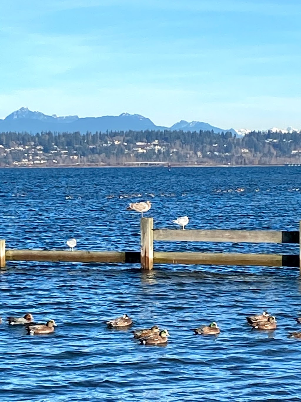 Crescent Beach Point | Unnamed Road, Surrey, BC V4A 3H1, Canada | Phone: (604) 501-5050