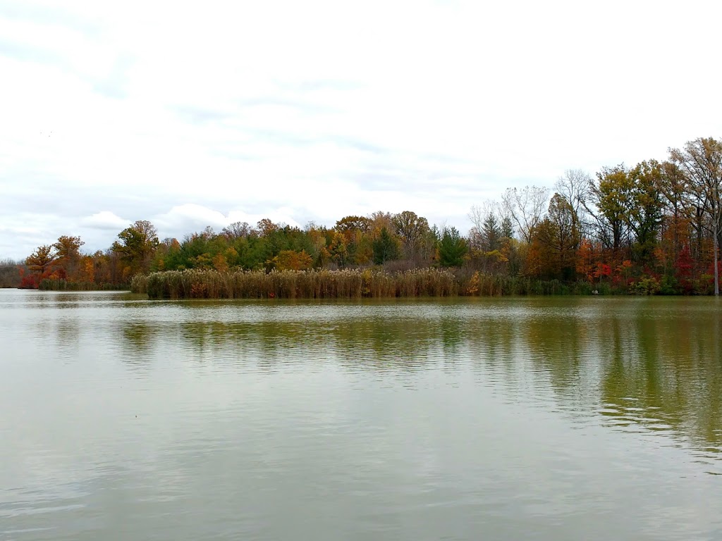 Lorne C Henderson Conservation | 3653 Petrolia Line, Petrolia, ON N0N 1R0, Canada | Phone: (519) 882-2280