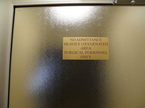 Elmwood Small Animal Hospital | 1606 Kenmore Ave, Buffalo, NY 14216, USA | Phone: (716) 876-6023