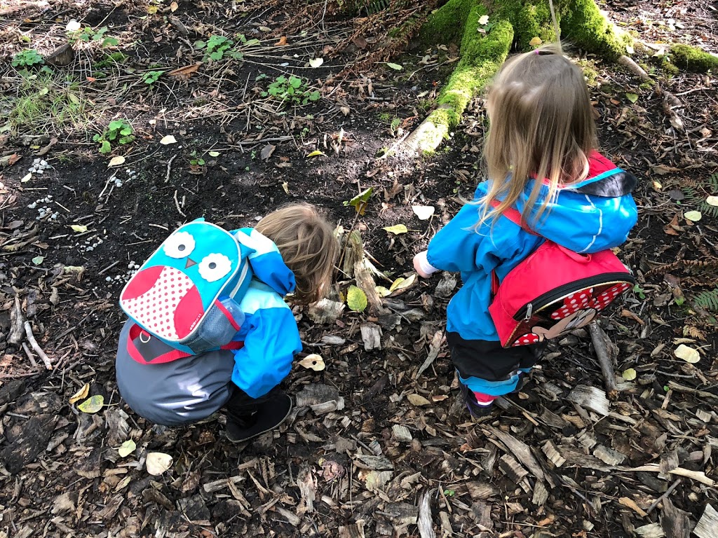 Woods and Waves Outdoor Learning | 1440 Discovery St, Vancouver, BC V6R 4K5, Canada | Phone: (778) 929-5761