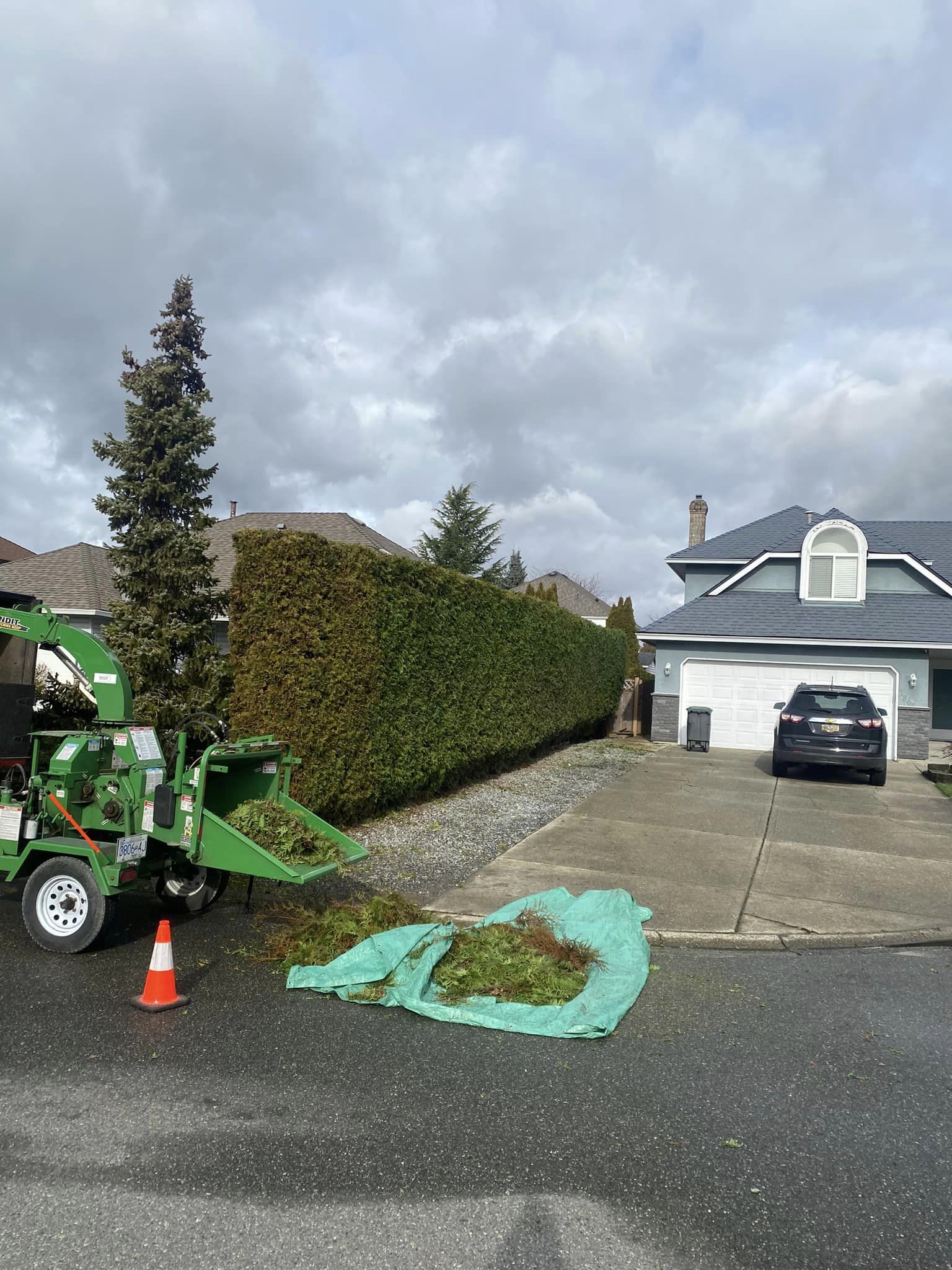 Pacific Hedge Tree Care | 20560 66 Ave #6, Langley, BC V2Y 2Y8, Canada | Phone: (778) 999-8996