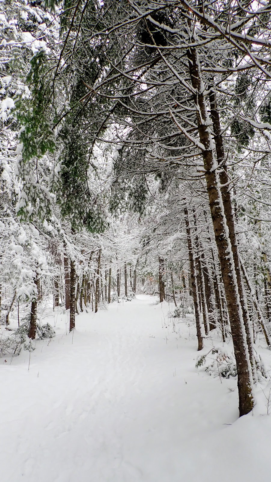 Outdoor Beauport Center | 95 Rue de la Sérénité, Québec, QC G1C 8G7, Canada | Phone: (418) 641-6112