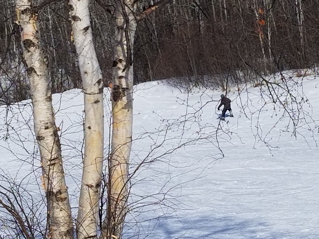 Innisfail Ski Hill | 60 St, Innisfail, AB T4G 1R6, Canada | Phone: (403) 227-5155