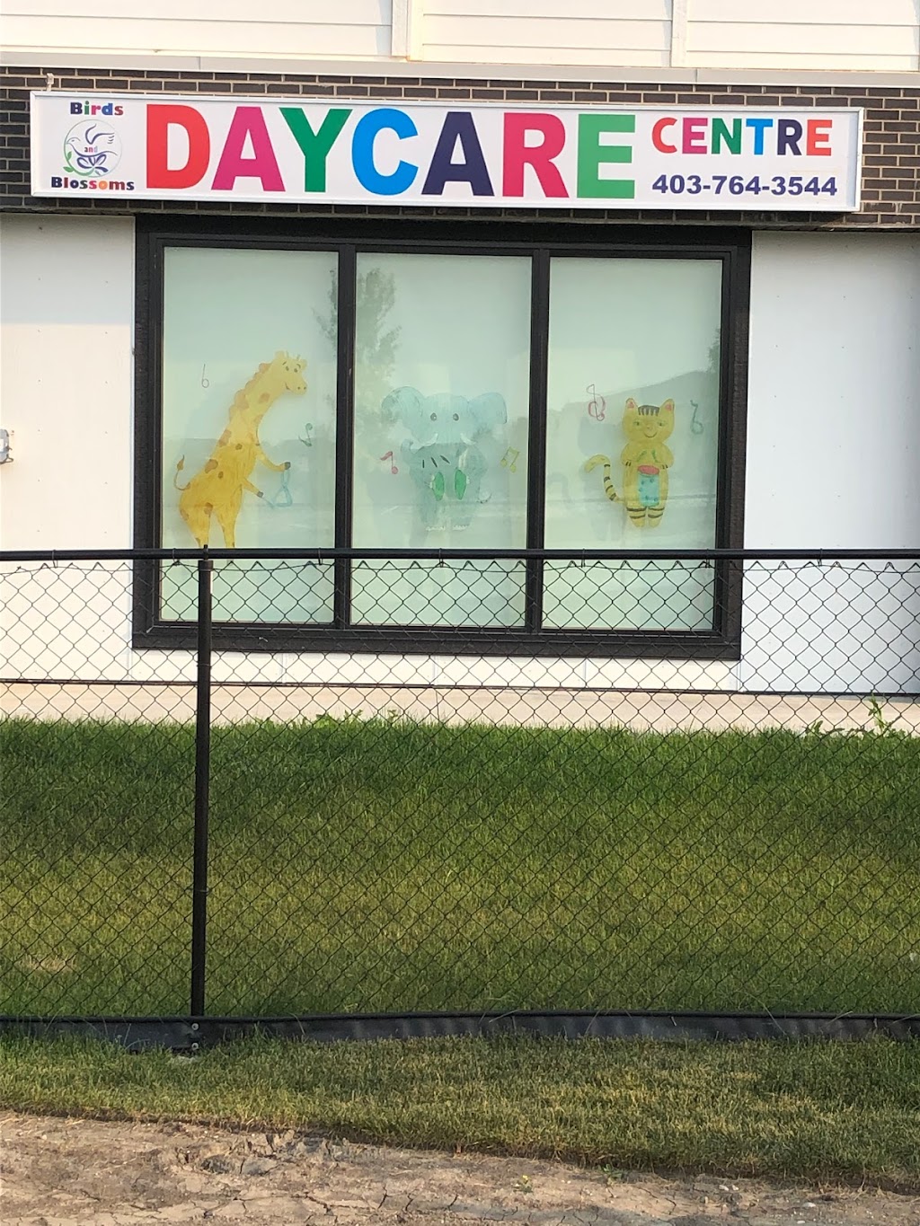 Birds and Blossoms | 80 Sage Hill Rd NW #126, Calgary, AB T3R 1X4, Canada | Phone: (403) 764-3544