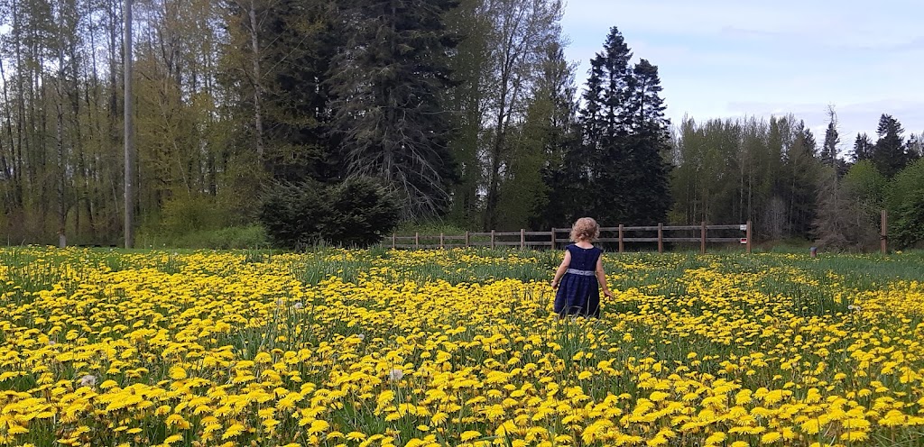 Puntledge RV Campground | 4624 Condensory Rd, Courtenay, BC V9J 1R6, Canada | Phone: (250) 334-3773