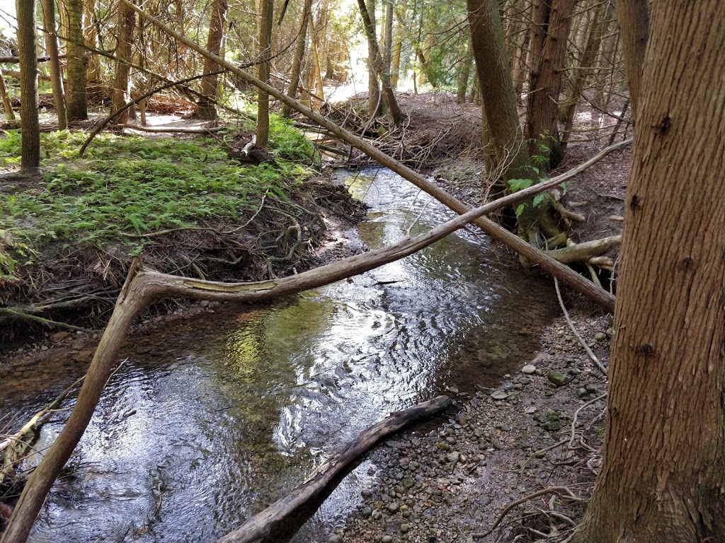 Naftels Creek Conservation Area | 79154 Bluewater Hwy, Goderich, ON N7A 3X8, Canada