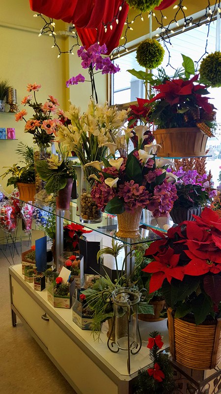 James White Flowers | florist | 1077 Midland Ave, Scarborough, ON M1K 4G7, Canada | 4162613391 OR +1 416-261-3391