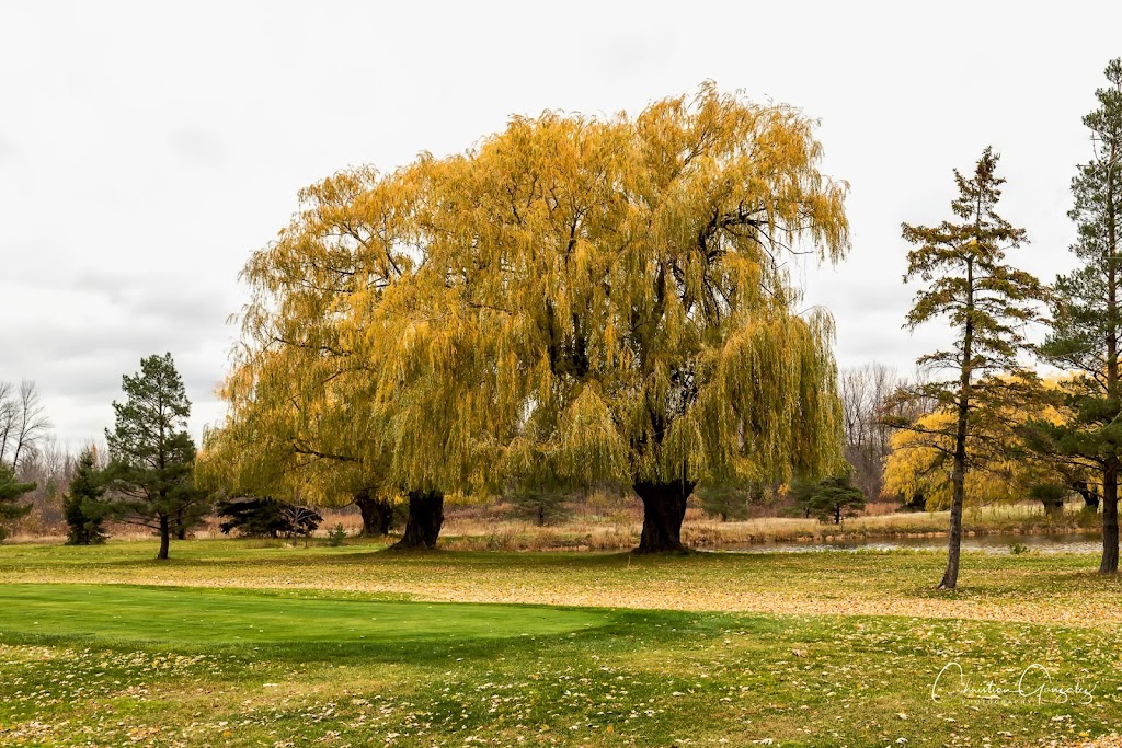 Club de golf Summerlea Golf & Country Club | 1000 Rte de Lotbinière, Vaudreuil-Dorion, QC J7V 0H5, Canada | Phone: (450) 455-0921