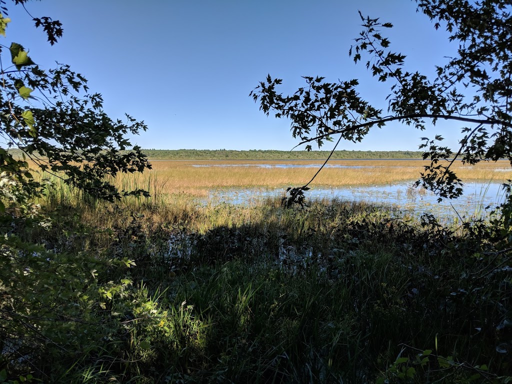 Missisippi Lake National Wildlife Area | Drummond/North Elmsley, ON K0G 1A0, Canada | Phone: (800) 668-6767