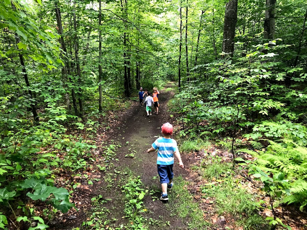 Nursery La Forêt Enchantée | 787 Rue Seigneuriale, Québec, QC G1B 2T2, Canada | Phone: (418) 663-4165