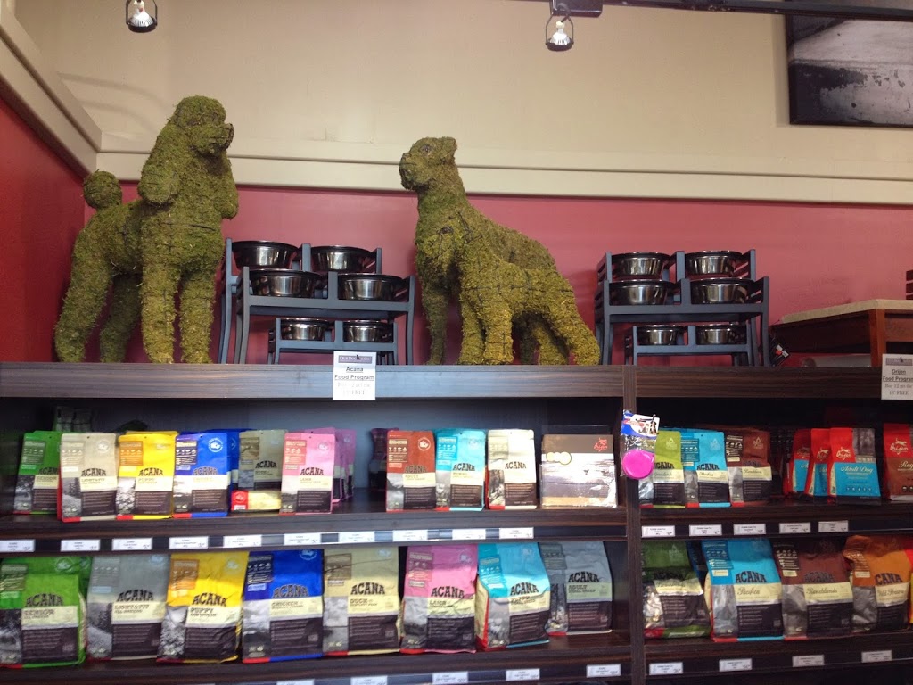 Our Dog & Company | 129 Pedersen Dr, Aurora, ON L4G 0E3, Canada | Phone: (905) 713-3489
