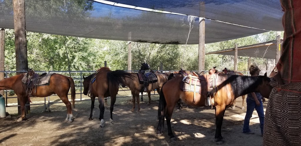 Indian Grove Riding Stables | 600 Rancher Creek Rd, Osoyoos, BC V0H 1V6, Canada | Phone: (250) 495-7555