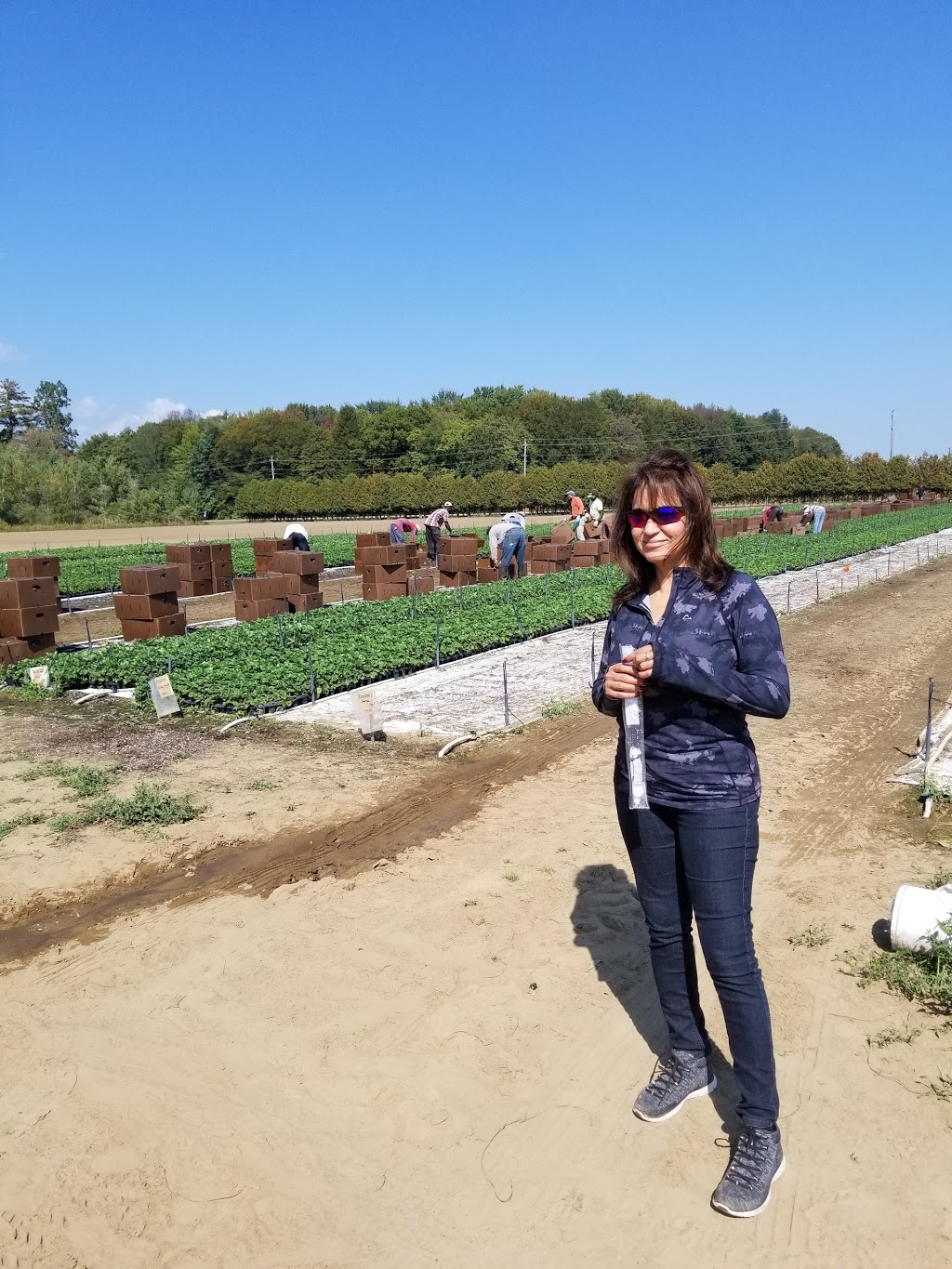 E Z Grow Farms Ltd | 1771 Norfolk County Rd 23, Langton, ON N0E 1G0, Canada | Phone: (519) 875-4751
