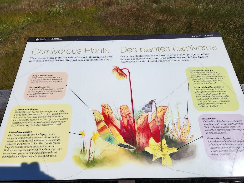 Singing Sands Beach | Singing Sands Interpretive Trail, Tobermory, ON N0H 2R0, Canada | Phone: (519) 596-2233