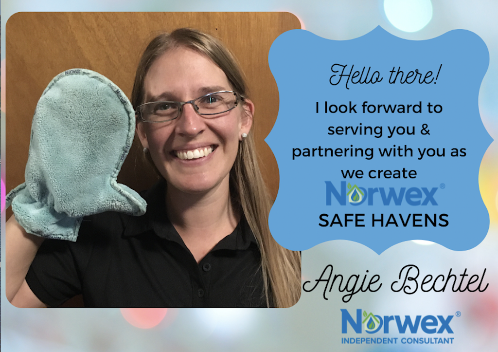 Norwex Indep. Consultant-Angie Bechtel | 450 Countess St S, Durham, ON N0G 1R0, Canada | Phone: (226) 210-3705