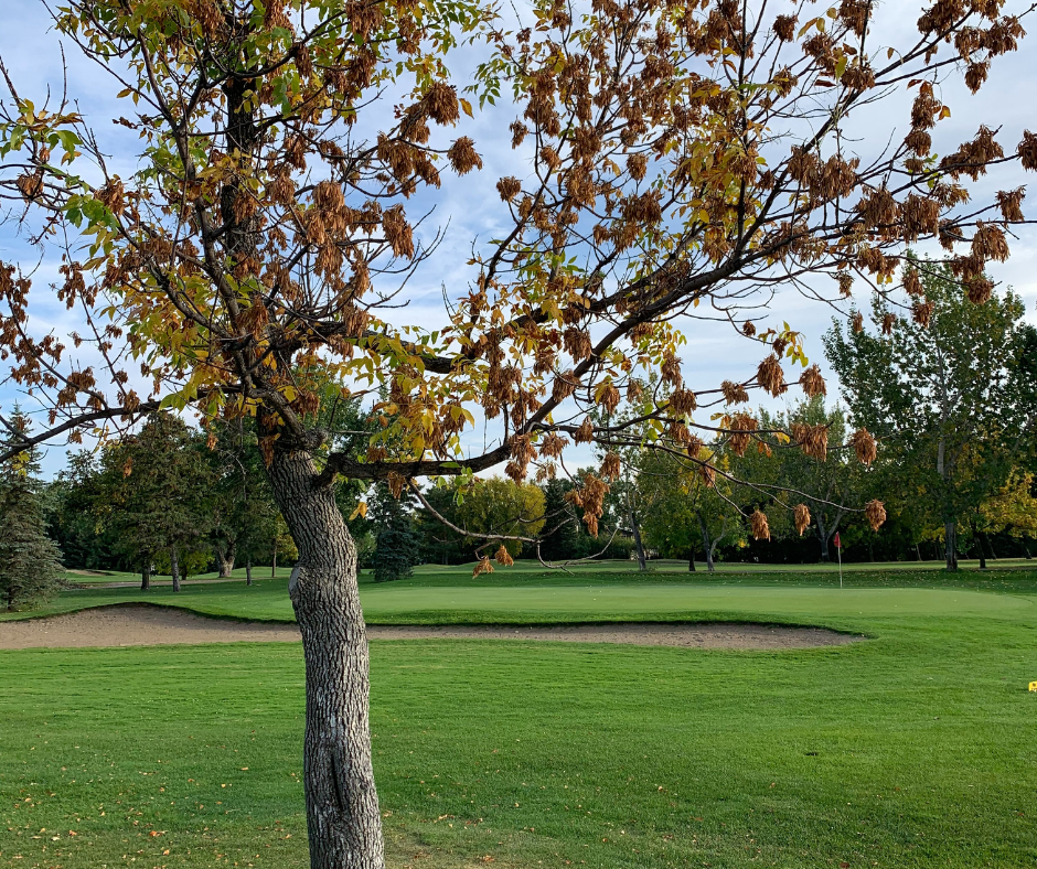 Henderson Lake Golf Club | 2727 S Parkside Dr, Lethbridge, AB T1K 0C6, Canada | Phone: (403) 329-6767