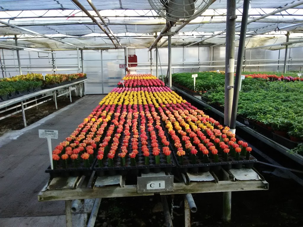 Hendriks Andrew & Sons Greenhouses Inc | 5095 N Service Rd, Beamsville, ON L0R 1B3, Canada | Phone: (905) 563-8132