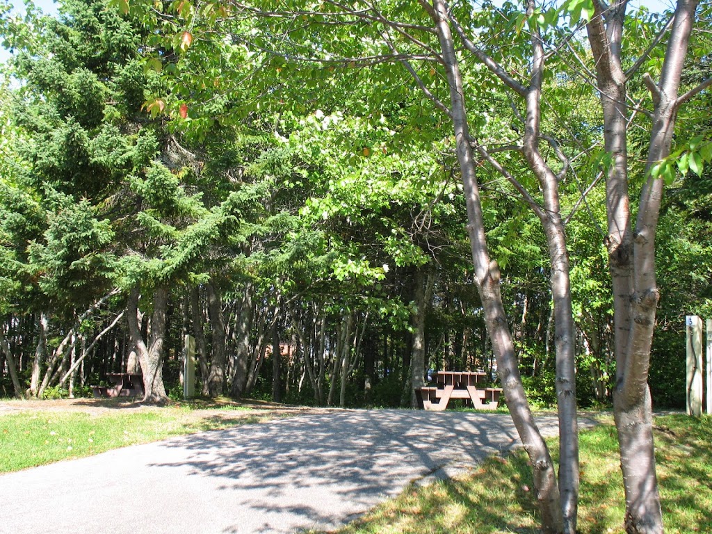 Camping Le Tipi / Tipi Campground | 35 Rue de la Réserve B, Les Escoumins, QC G0T 1K0, Canada | Phone: (418) 233-2266