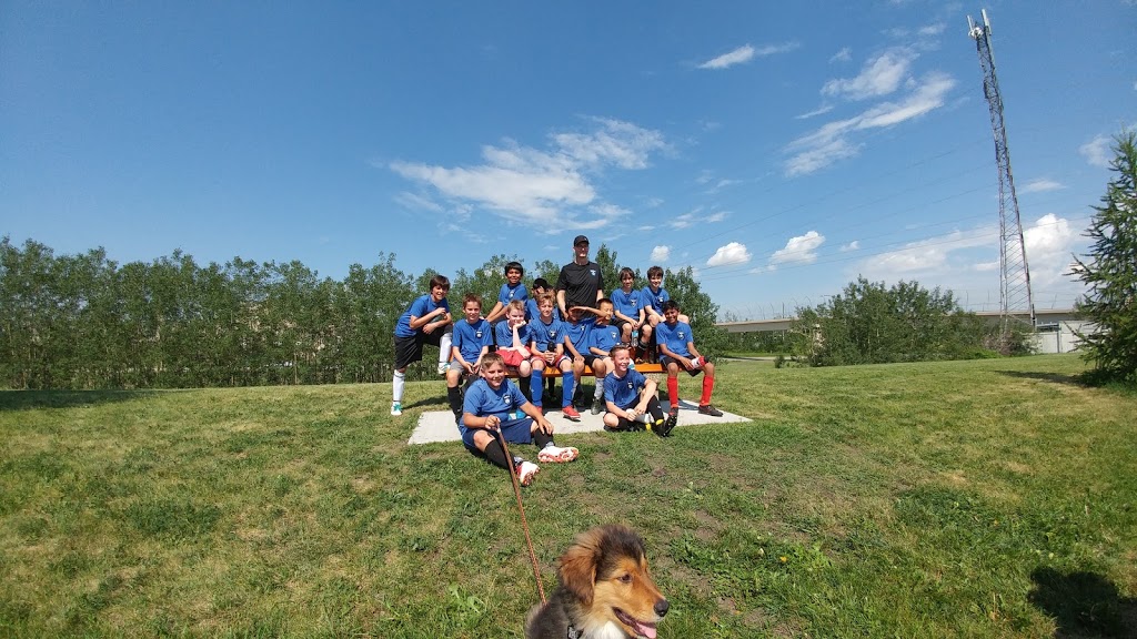 Tempo School | 5603 148 St, Edmonton, AB T6H 4T7, Canada | Phone: (780) 434-1190
