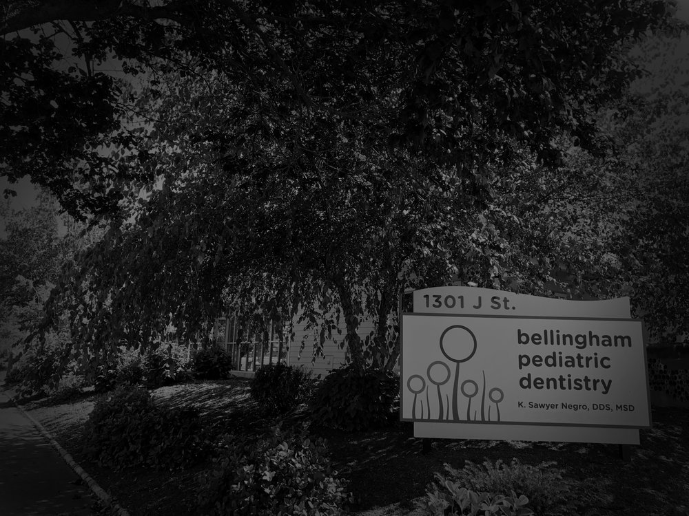 Bellingham Pediatric Dentistry - K.Sawyer Negro, DDS, MSD | 1301 J St, Bellingham, WA 98225, USA | Phone: (360) 676-7130