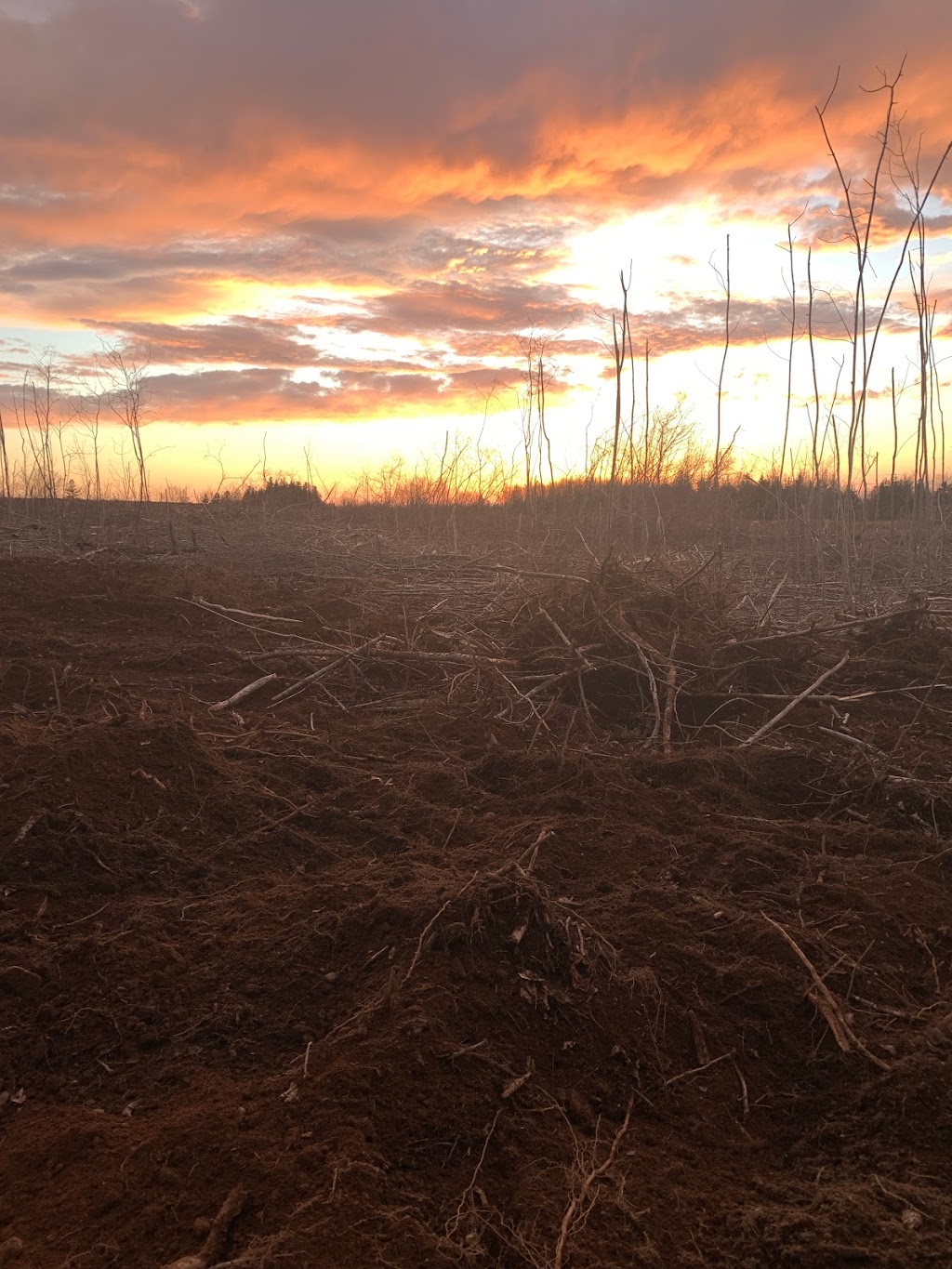 NMS LAND SERVICES | 3404 McNally Rd, Berwick, NS B0P 1E0, Canada | Phone: (780) 517-2937