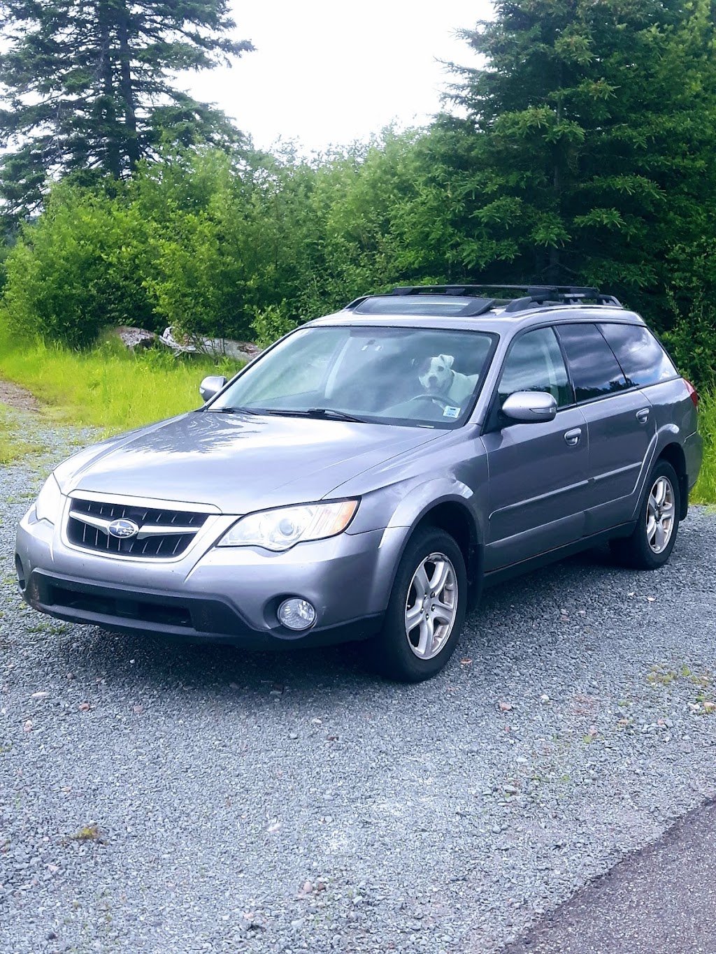 North shore Subaru | 187 Clarks Rd, Tatamagouche, NS B0K 1V0, Canada | Phone: (902) 497-1529