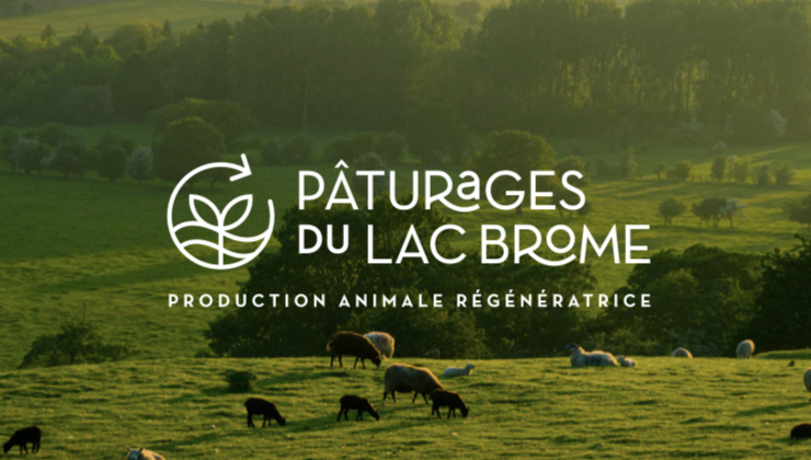 Pâturages du Lac Brome | 196 Chem. Allard, Shefford, QC J2M 1B2, Canada | Phone: (514) 262-4421