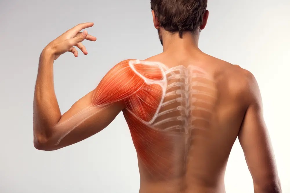 Oakville Massage | 3075 Hospital Gate #109N, Oakville, ON L6M 1M1, Canada | Phone: (647) 724-2083