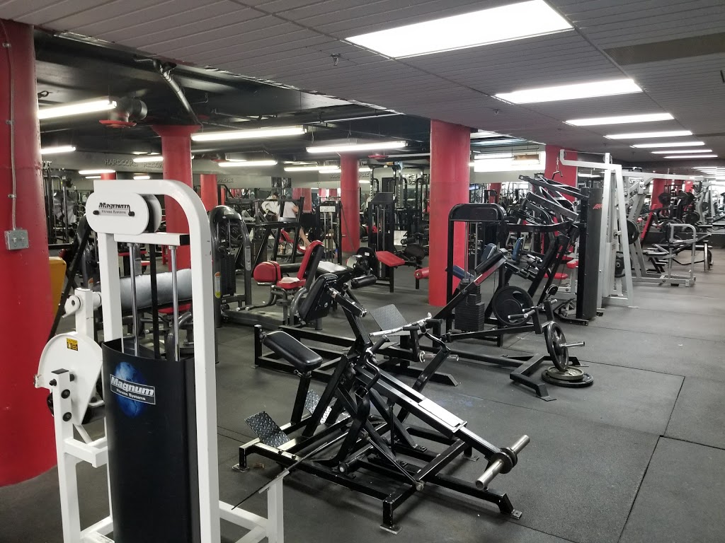 FlexPlex Muscle and Fitness | 1700 Dundas St, London, ON N5W 3C9, Canada | Phone: (519) 601-7539