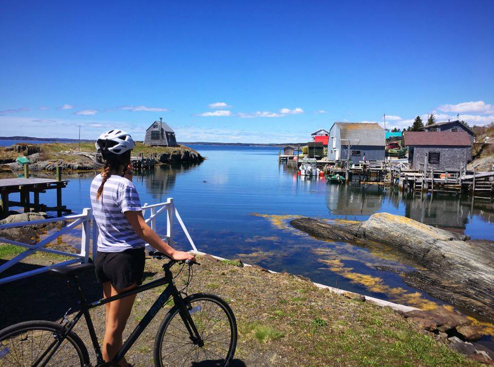 LUNENBURG BIKE SHOP - Rhumb Line Bicycles | 151 Montague St, Lunenburg, NS B0J 2C0, Canada | Phone: (902) 521-6115