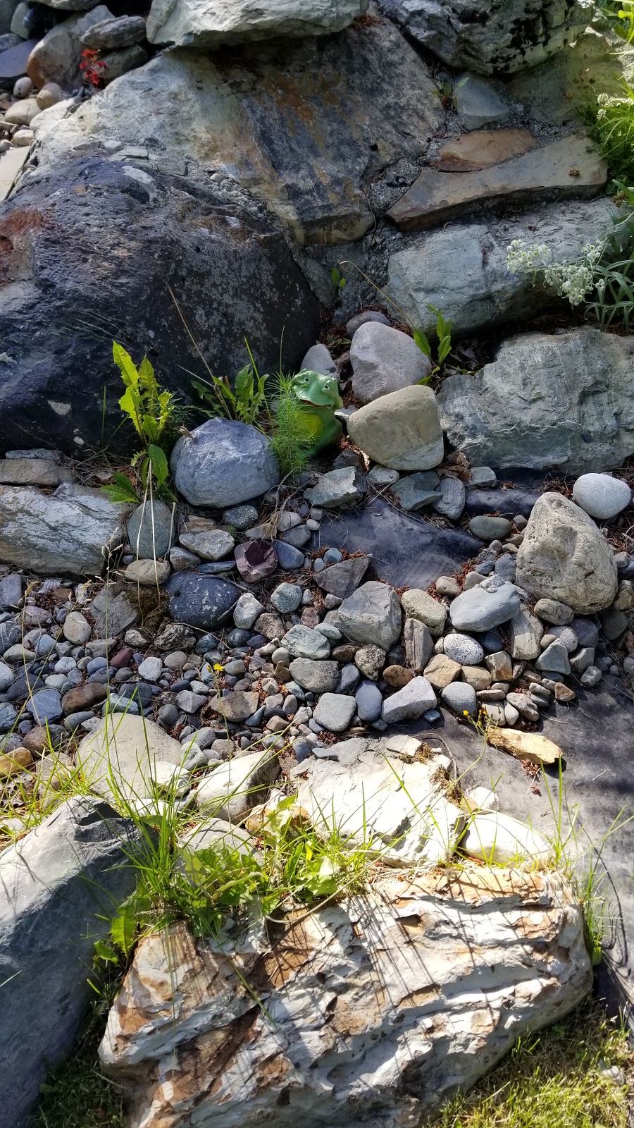 Cominco Gardens | 290 Rossland Blvd, Kimberley, BC V1A 2R6, Canada | Phone: (250) 427-2293