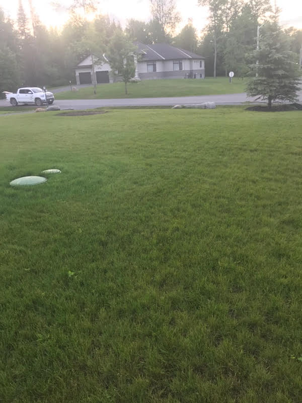 Dreamscape Landscaping | 1331 Coker St, Greely, ON K4P 1A1, Canada | Phone: (613) 821-0003