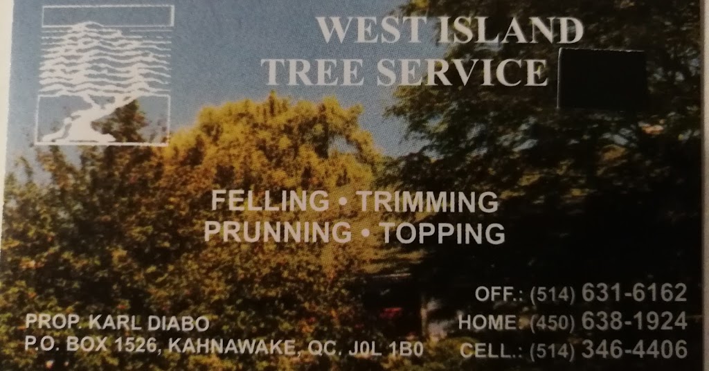 Westisland Tree Service | Old Châteauguay Rd, Kahnawake, QC J0L 1B0, Canada | Phone: (514) 631-6162