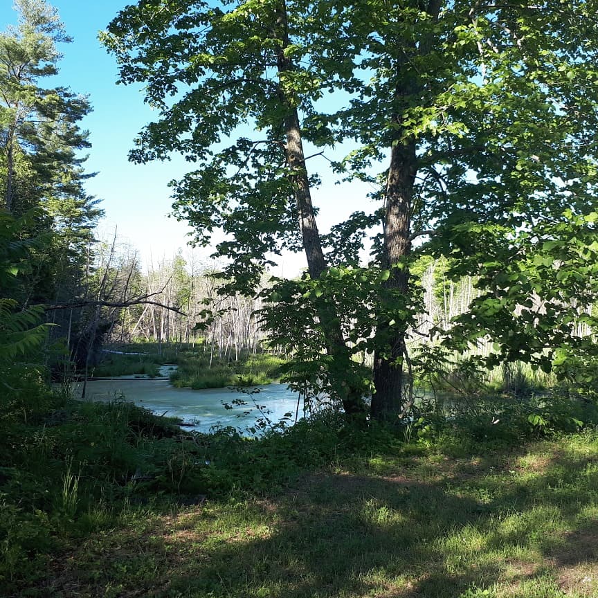 Boisé multiressource Von Allmen | Saint-André-dArgenteuil, QC J0V 1X0, Canada | Phone: (450) 535-3527
