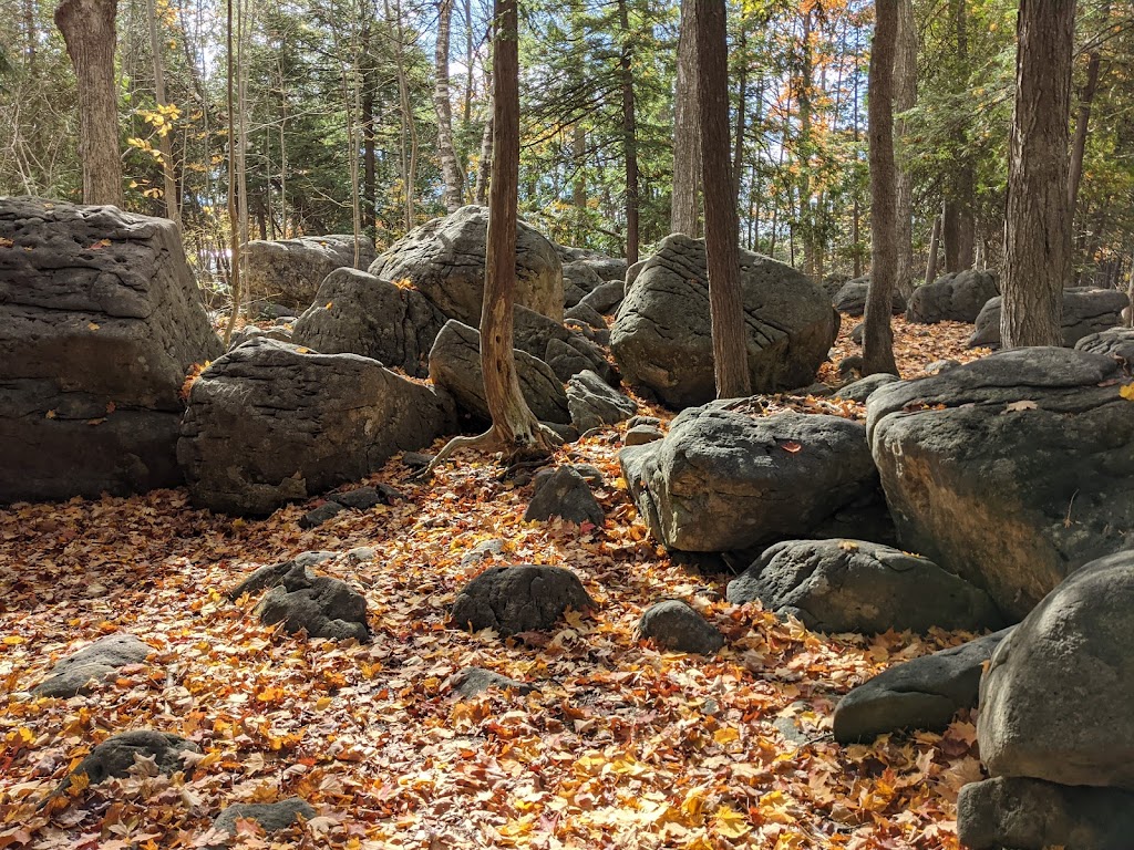 Pottawatomi Conservation Area | 717875 ON-6, Owen Sound, ON N4K 5N7, Canada | Phone: (519) 376-3076