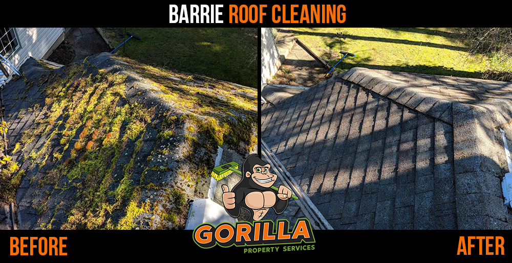 Gorilla Property Services | 65 Cedar Pointe Dr Ste 247, Barrie, ON L4N 9R3, Canada | Phone: (705) 805-0244